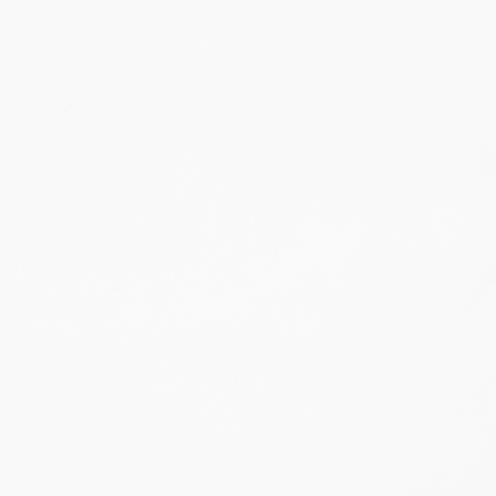 Click for larger view